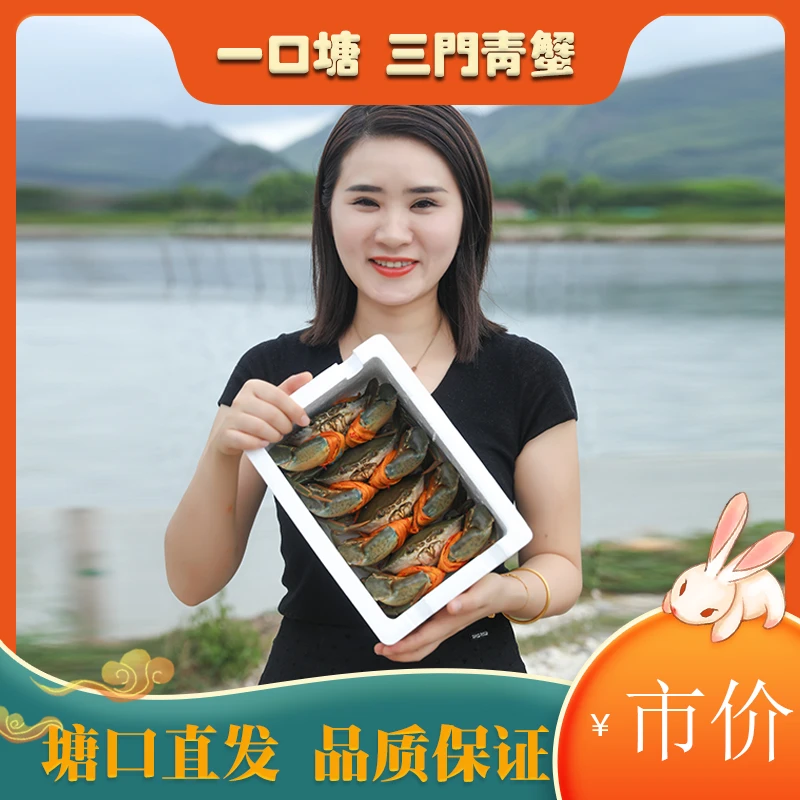 【一口塘】奄仔蟹 正宗三门青蟹小母蟹蚰蠓包肥包活包邮鲜活海鲜