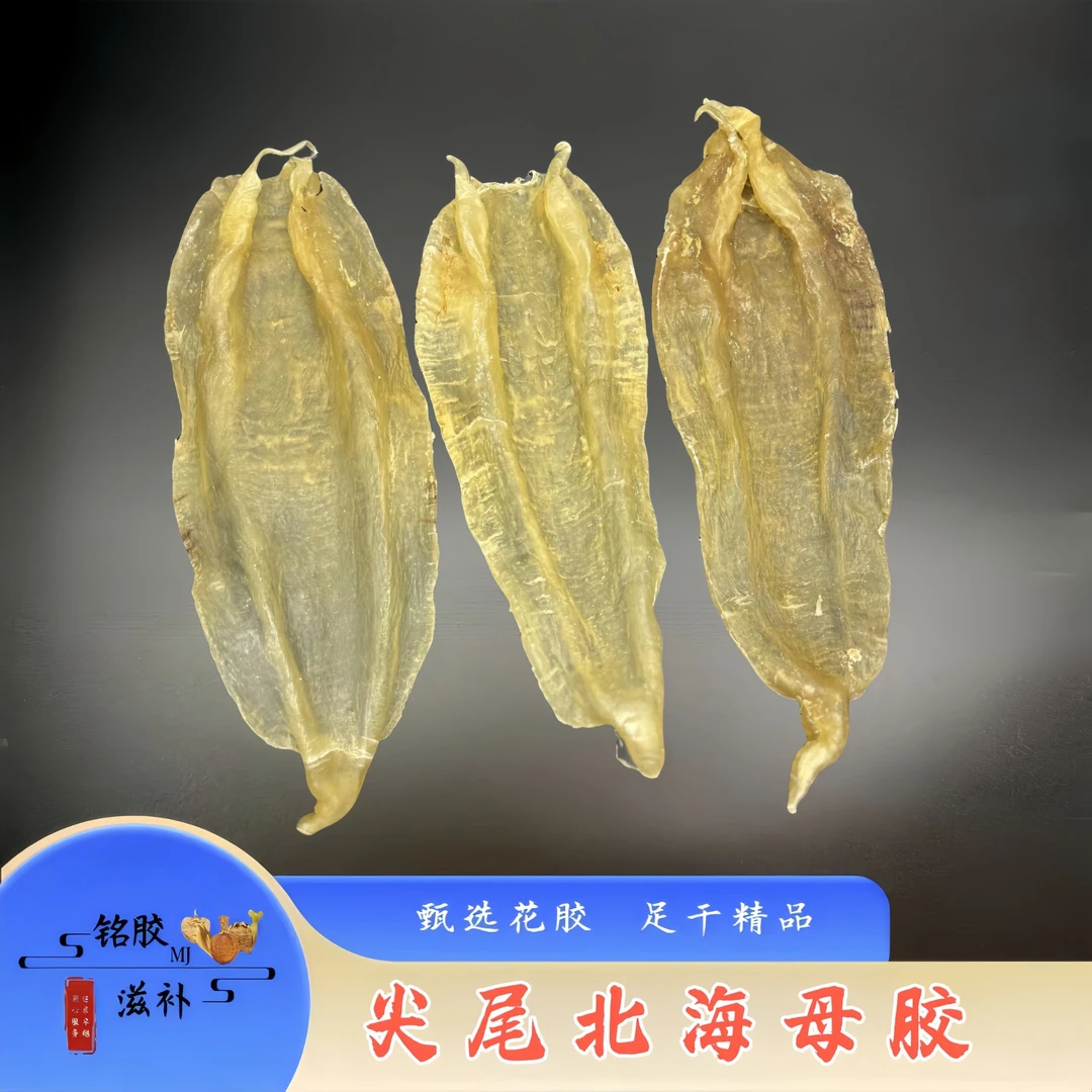 铭胶滋补 干花胶系列尖尾北海5头