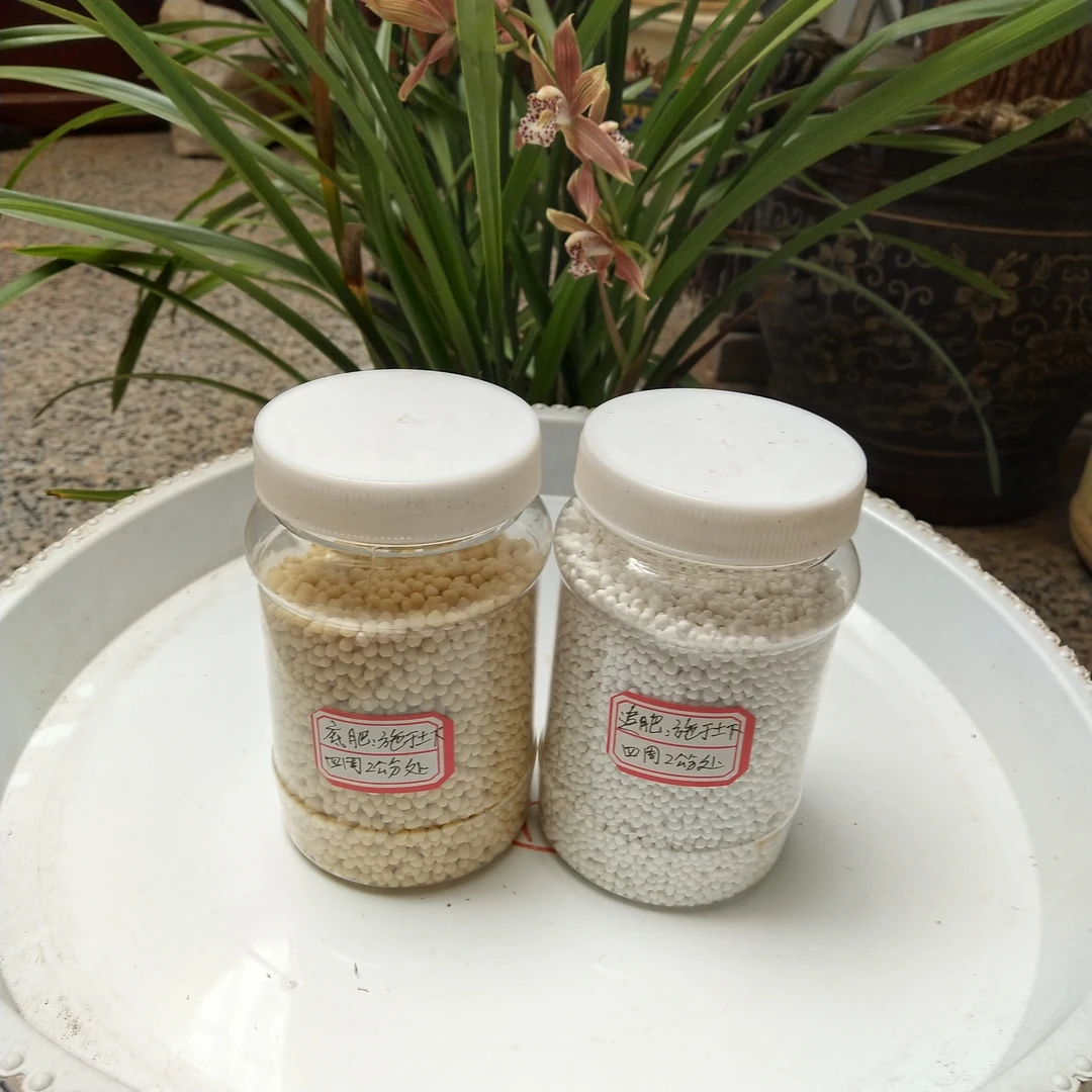 三角梅缓释颗粒氮磷钾肥料 调节植物生长绿叶催花 绿植花卉通用肥