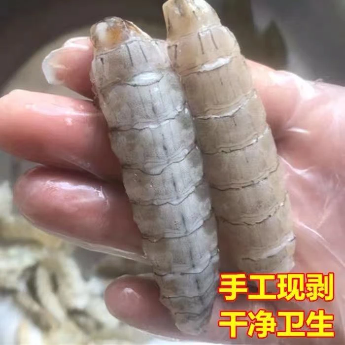 连云港海捕皮皮虾现剥皮皮虾肉虾爬肉