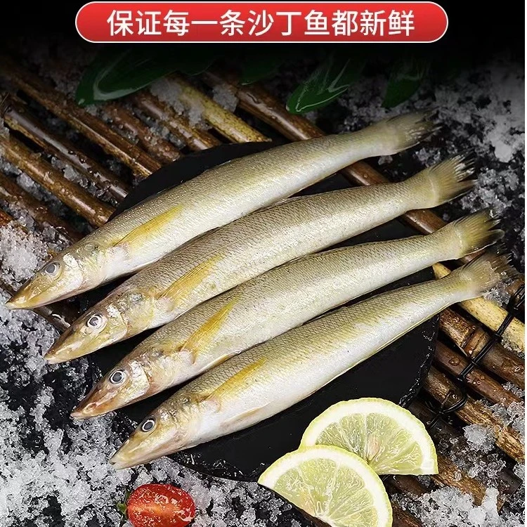 连云港海捕黄沙丁黄海海域沙丁鱼尖嘴鱼到手5斤