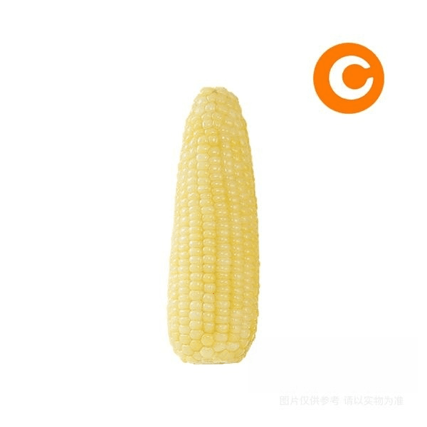 白糯玉米/个