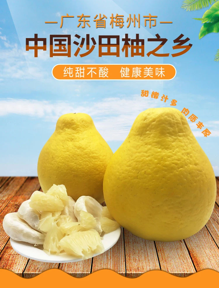 【坏果包赔，50斤包邮】梅州梅县沙田柚，营养丰富健康美味，产地直发。