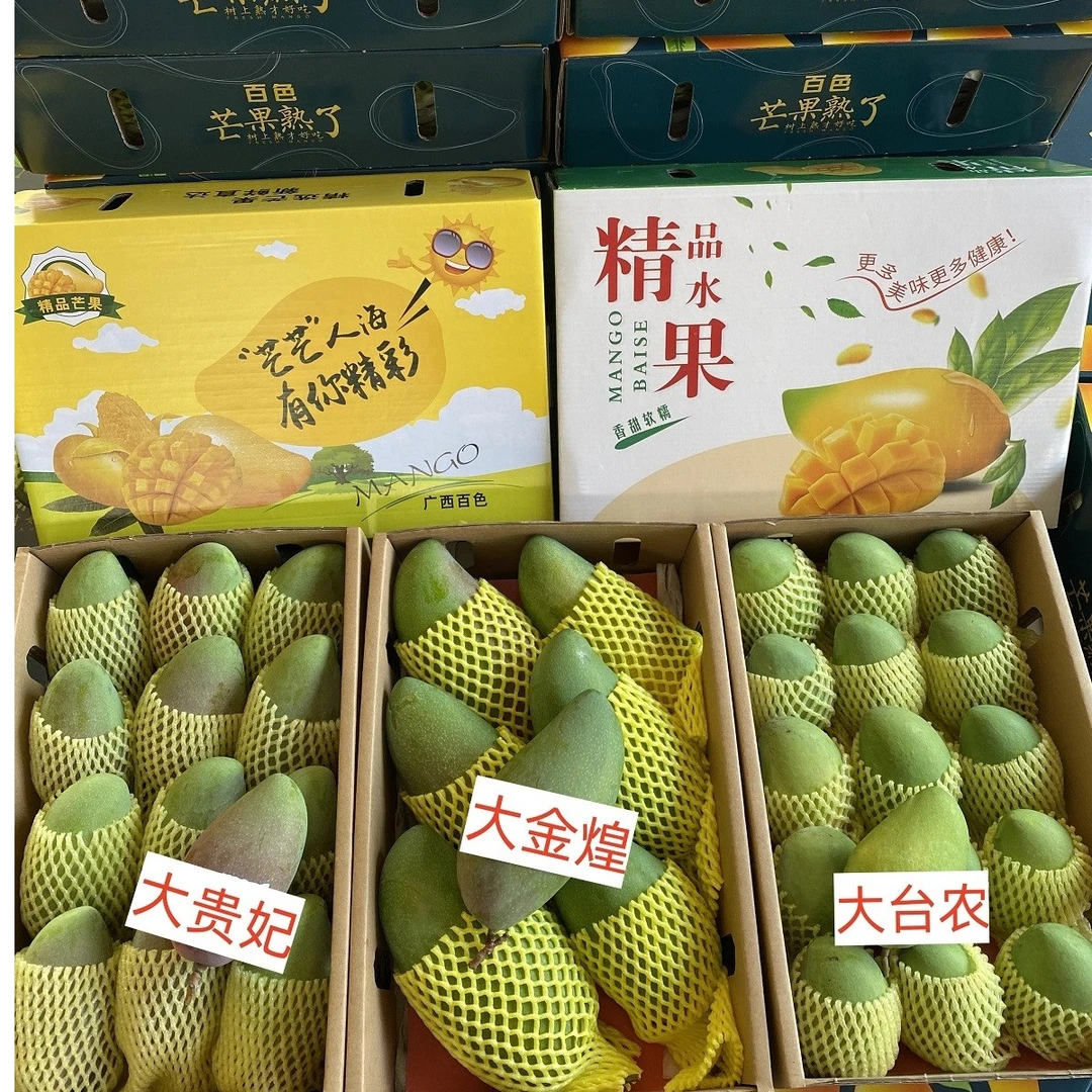 【芒果礼盒装专拍】田阳9斤芒果包邮整箱广西芒果现摘水果产地直发