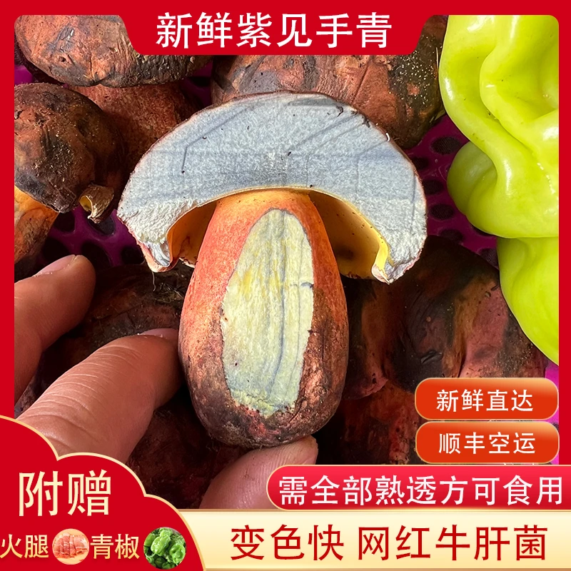 见手青紫牛肝菌精选云南网红变色250g包邮
