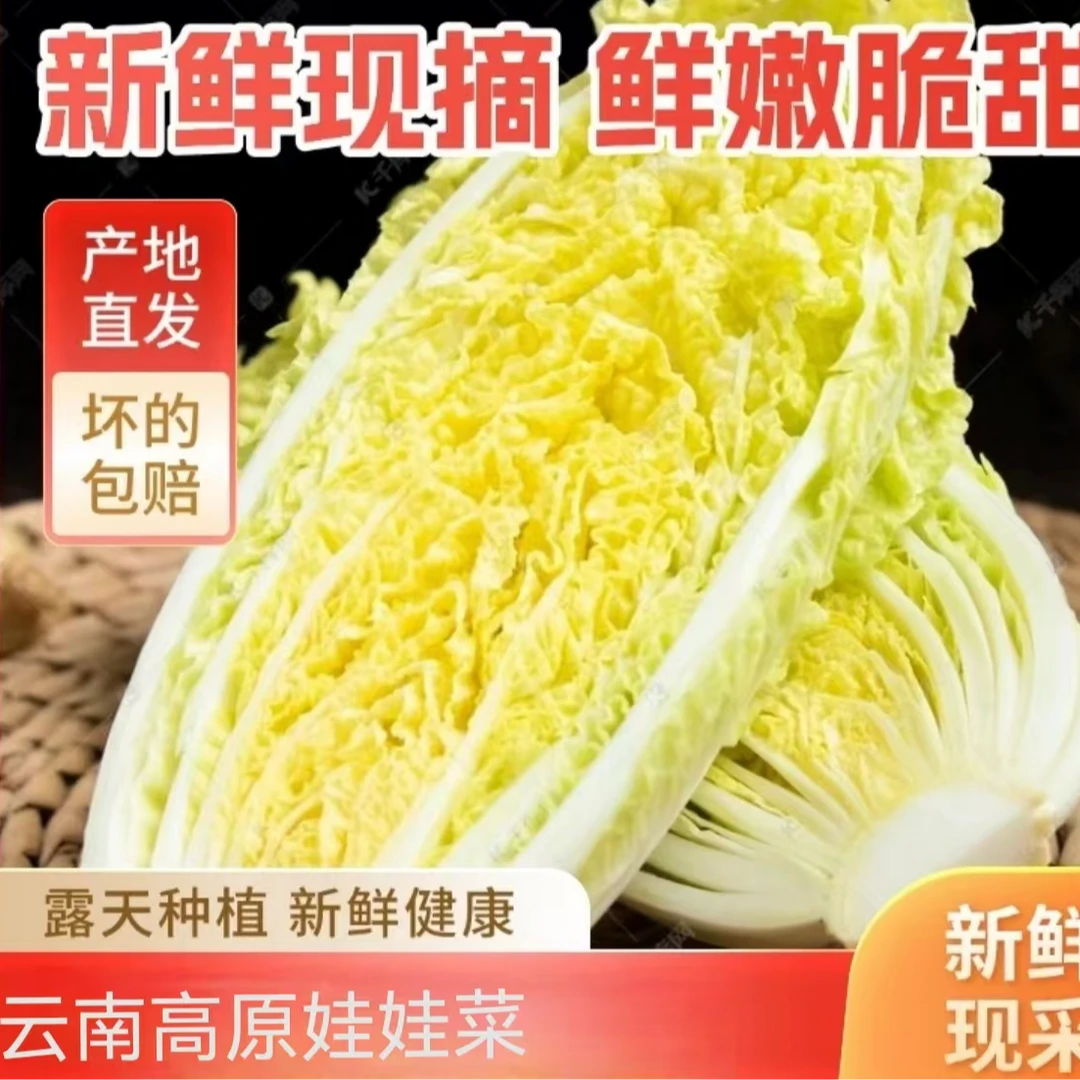 【云南高原娃娃菜 】黄心娃娃菜现砍现发货新鲜到家 应季鲜果蔬菜3