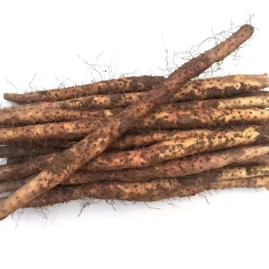 正宗焦作温县垆土铁棍山药新鲜怀山药自家种植净重3斤/5斤鲜甜