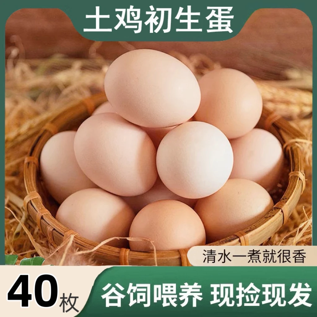 正宗初生蛋散养土鸡蛋40枚一箱营养美味健康儿童早餐现捡现发
