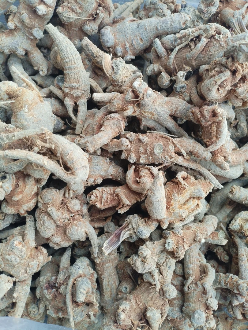 云南土特产≈[三≈期]非香菇