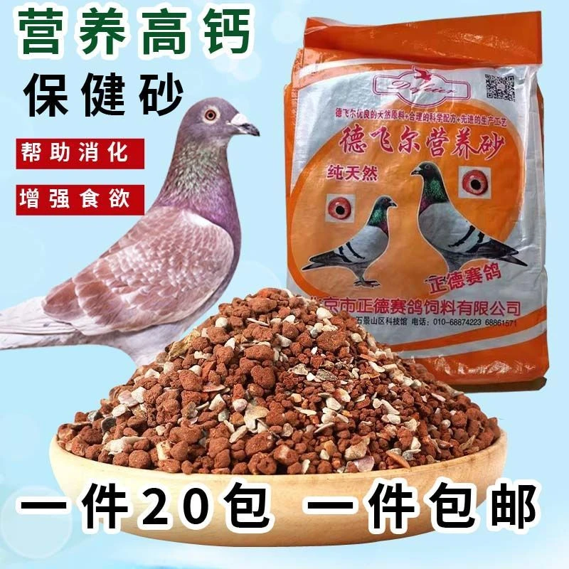 鸽子保健砂信鸽公棚鸽子