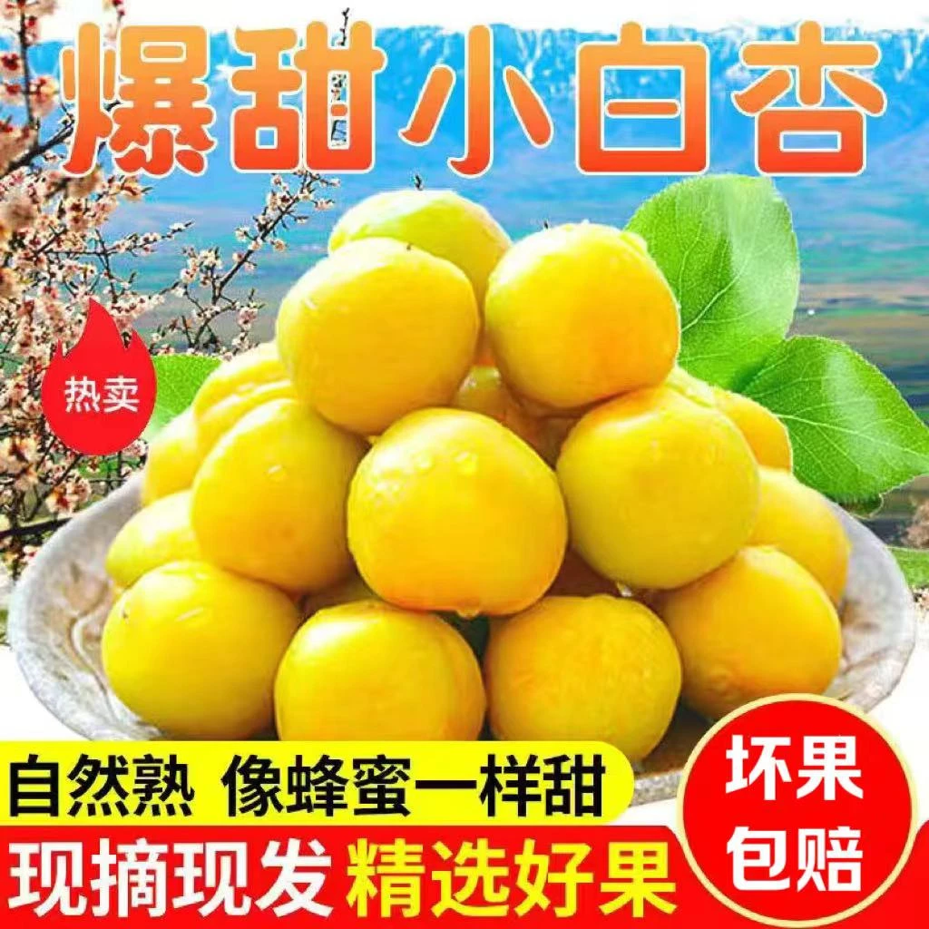 纯甜小白杏新鲜水果白杏爆甜杏子现摘现发应季水果非新疆小白杏