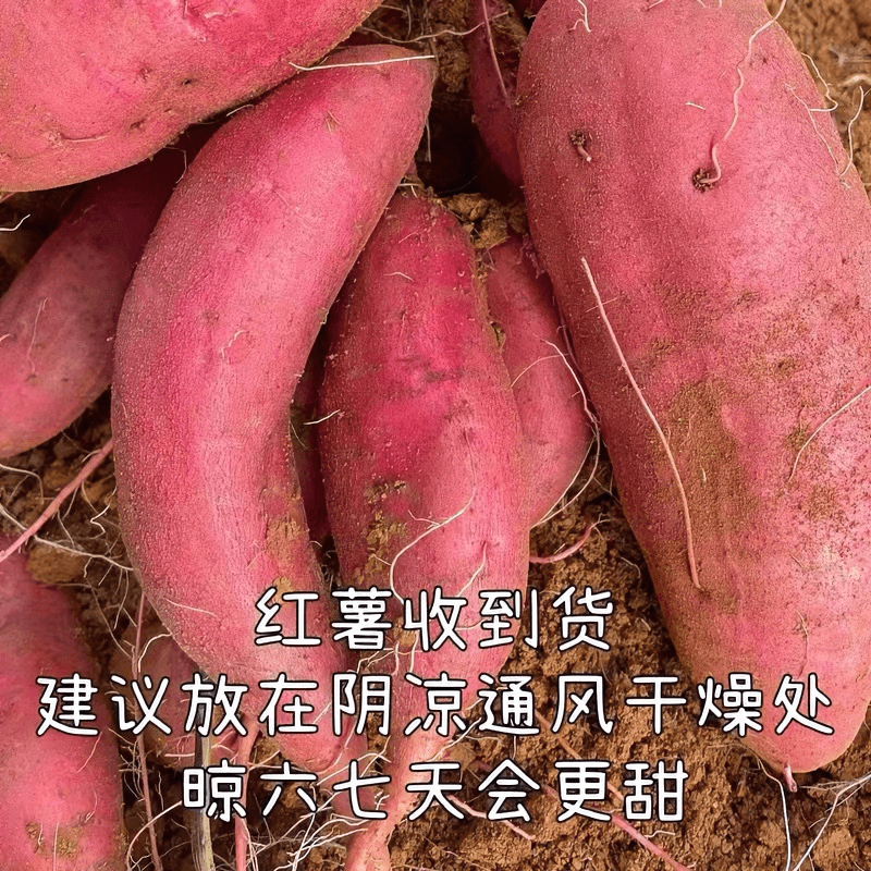 云南地瓜高山蜜薯西瓜红蜜薯板栗红薯农家自种糖心沙地