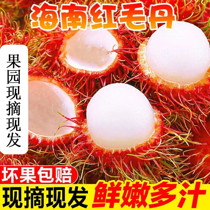 海南红毛丹当季现摘新鲜水果毛荔枝毛丹果热带特产一整箱批发包邮