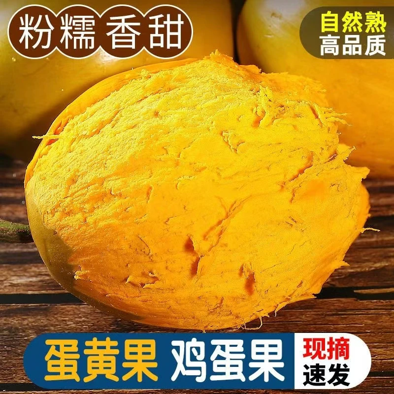 海南蛋黄果新鲜鸡蛋果特产黄晶狮头果热带果包邮