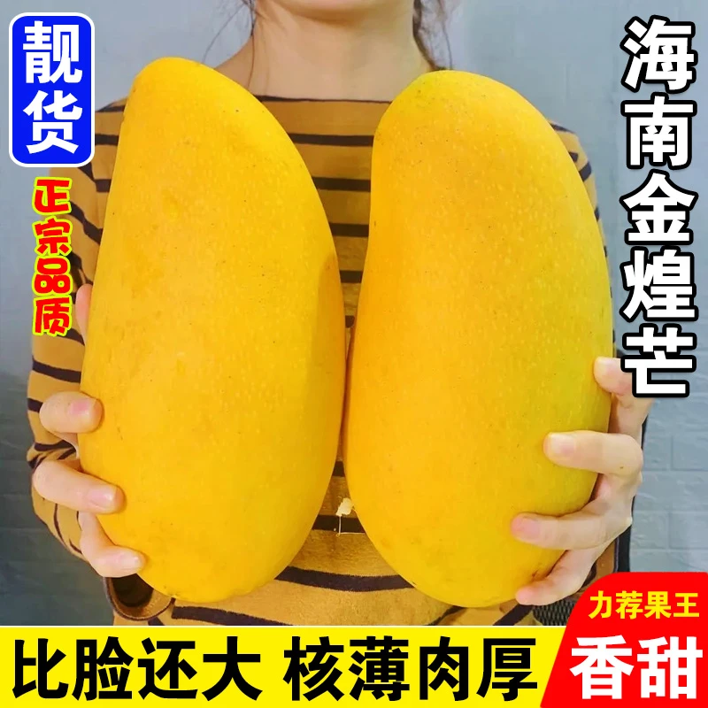 【礼盒】正宗自然熟海南金煌芒果水仙芒新鲜水果黄皮特大芒果应季