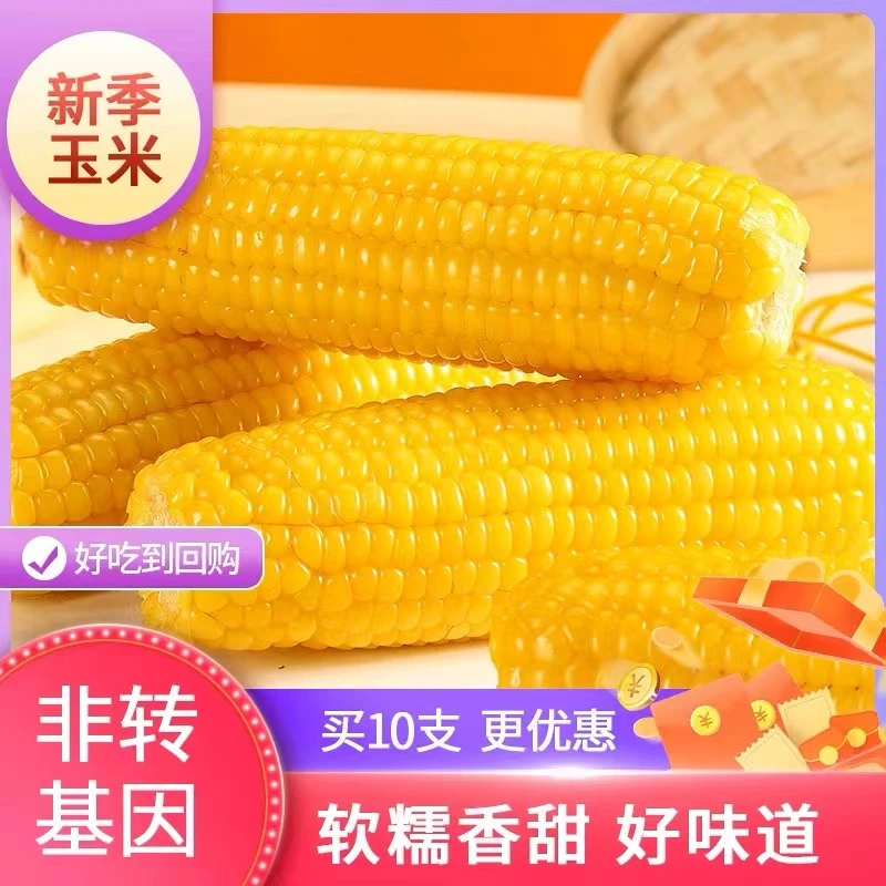 粉丝特惠东北特产黄粘糯玉米拍8送2整箱5.5斤