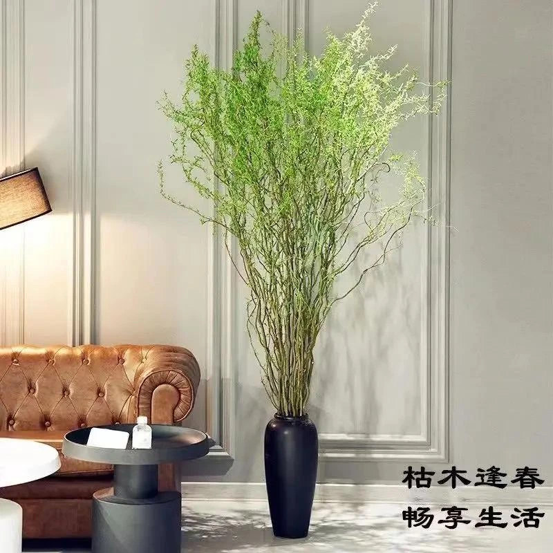 龙柳鲜切枝客厅水培懒人植物四季好养活插花泡水长根植物花卉易活