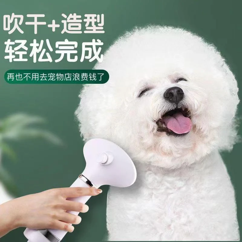 宠物全自动吹风拉毛一体机宠物洗澡速干蓬松梳毛器猫咪狗狗吹风机