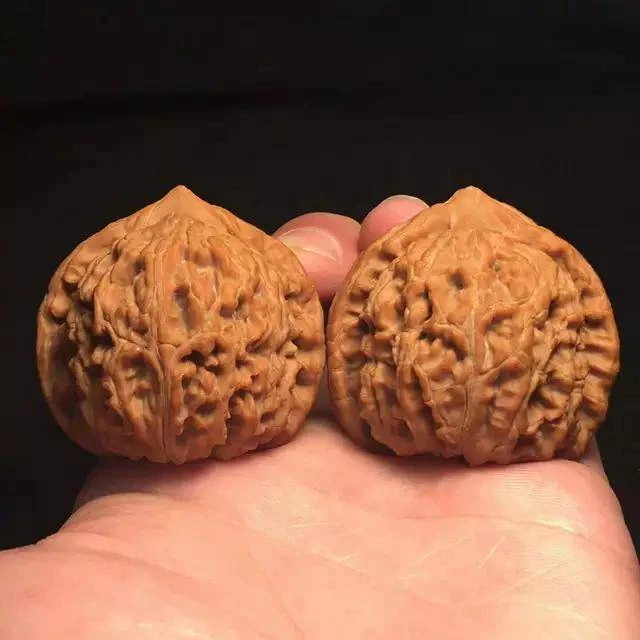 全品白狮子 磨盘 元宝 大粗筋 单拍链接