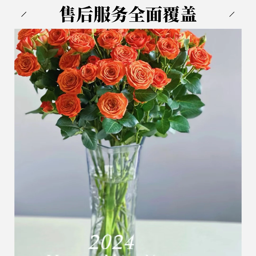 橙色芭比9支加1支报损