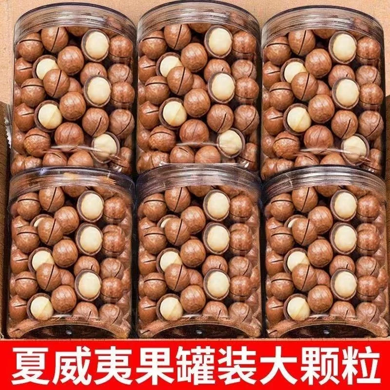 【大降价】夏威夷果大颗粒奶油味澳洲干果休闲零食新货坚果营养20g