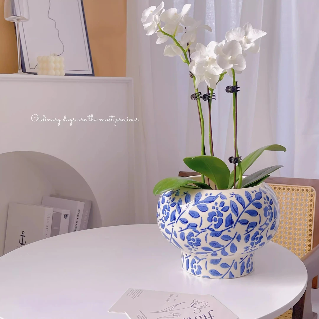 nicaijia/泥彩家青花瓷蝴蝶兰陶瓷花盆中国风室内装饰瓷器绿植盆