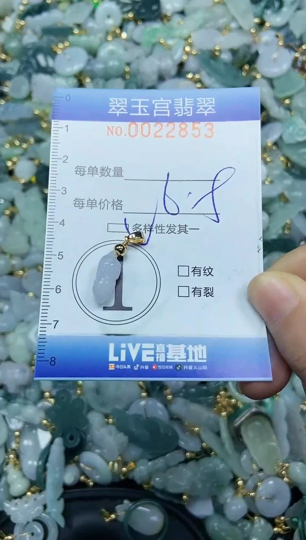 【闪购商品】翡翠颈饰未镶嵌闪购0022853多样性发其一