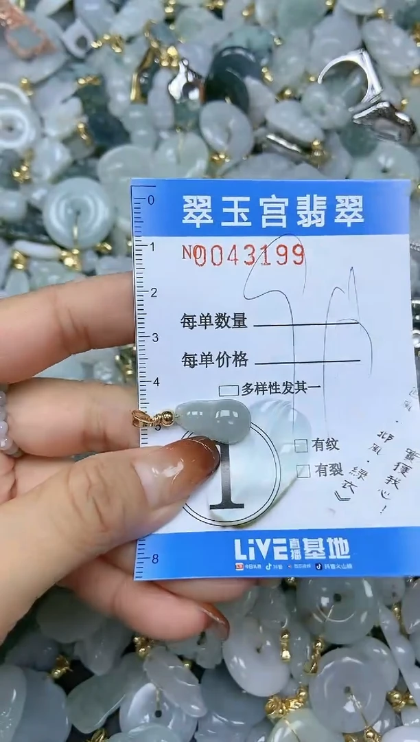 【闪购商品】翡翠颈饰未镶嵌闪购0043199