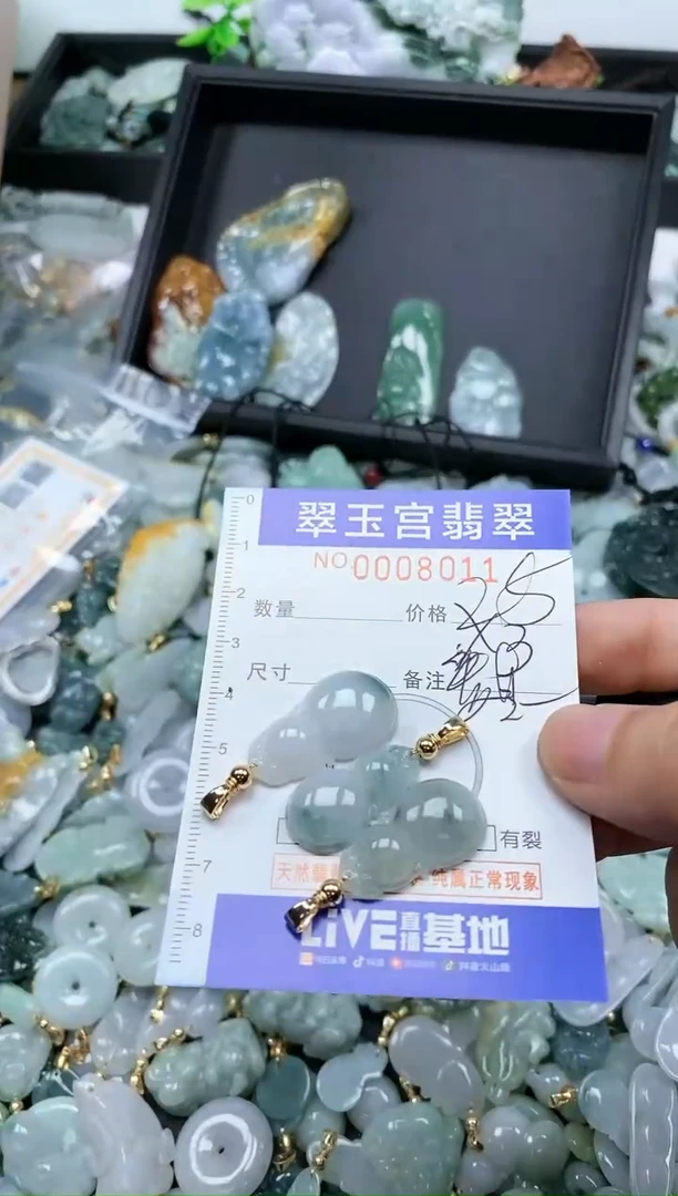 【闪购商品】翡翠颈饰未镶嵌0008011多样性发其一