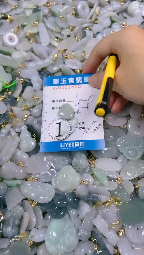 【闪购商品】翡翠颈饰未镶嵌闪购0021855