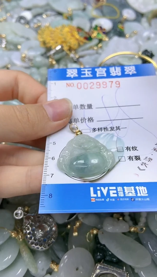 【闪购商品】翡翠颈饰未镶嵌闪购0029979