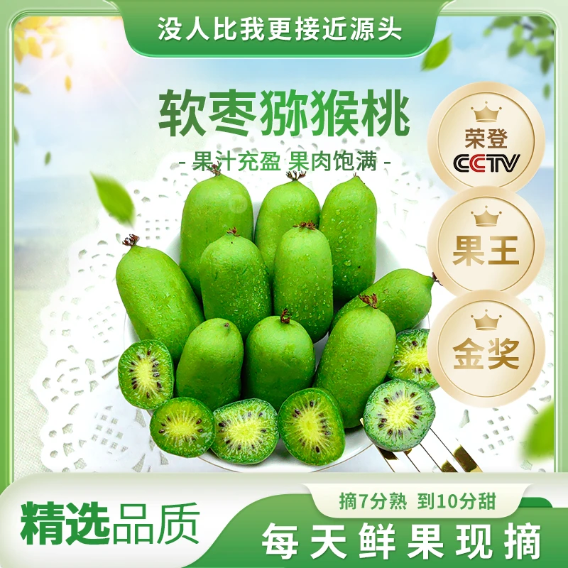 【FL 放软食用】软枣猕猴桃现摘现发奇异莓产地直发新品尝鲜