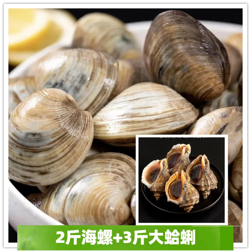 【混搭套餐】2斤海螺+3斤大蛤蜊 连云港发货
