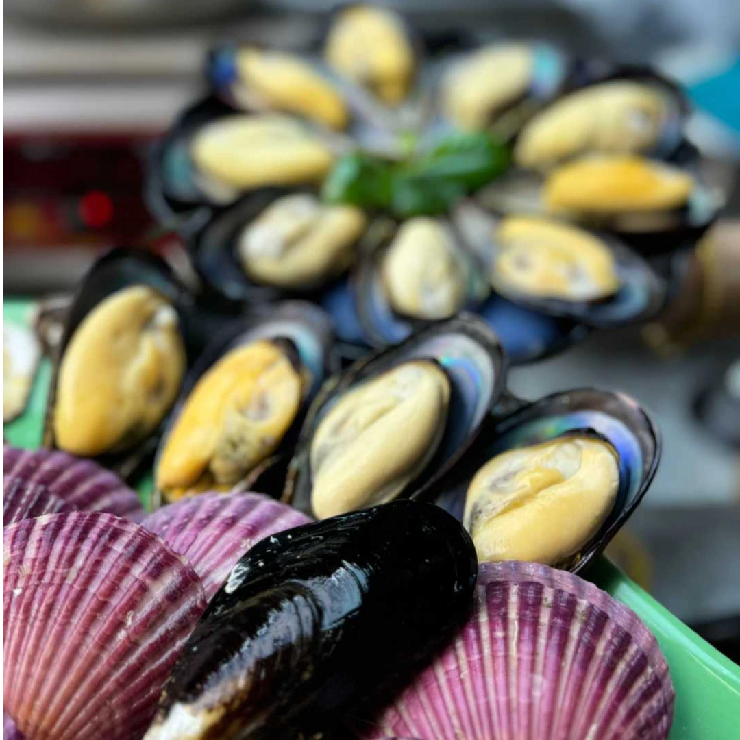 活鲜大号青口贝扇贝海鲜贻贝海虹新鲜干净发货-保冰鲜到货不包活