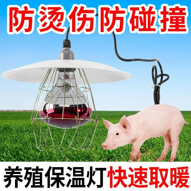 养殖专用保温灯灯罩网罩取暖灯小鸡仔猪升温灯防水防爆采暖灯