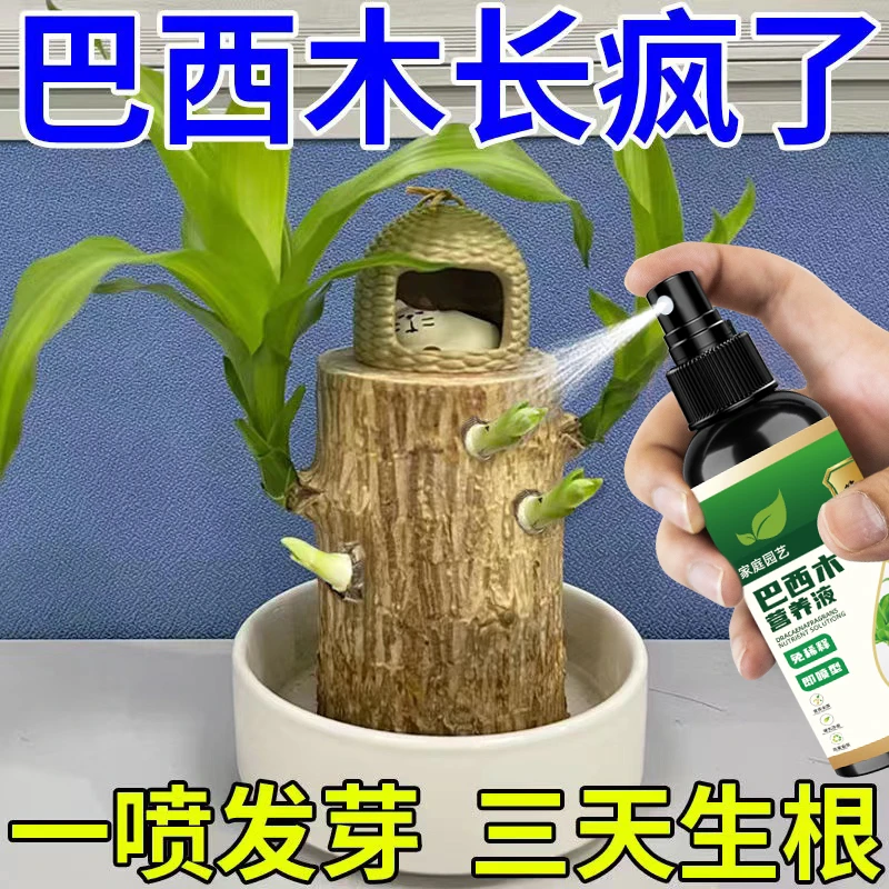 一喷出芽】巴西木营养液专治黄叶不发芽催芽生根促生长专用肥料