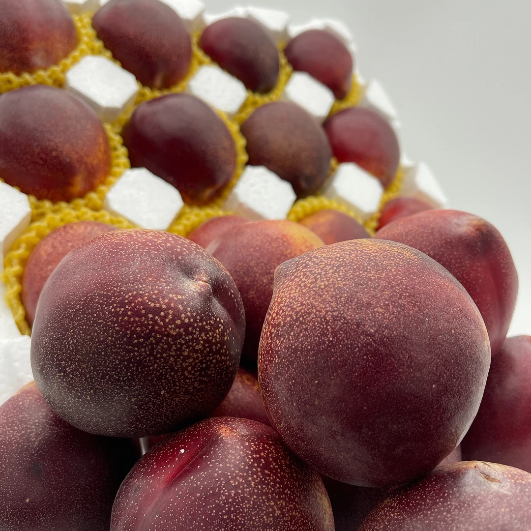 【新鲜采摘顺丰包邮】大连香甜多汁满天星紫油桃.七月末上架5-6斤