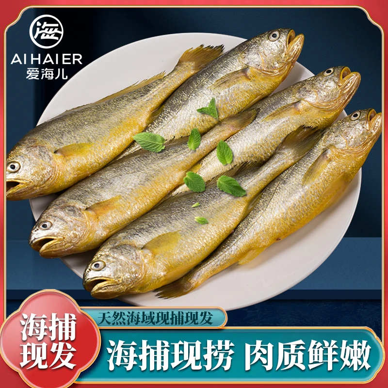 【顺丰包邮】大连本地海捕小黄花鱼
