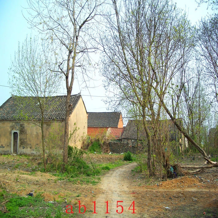 乡村田园风景画直播背景墙农村3d外景装饰墙面网红直播间布背景布