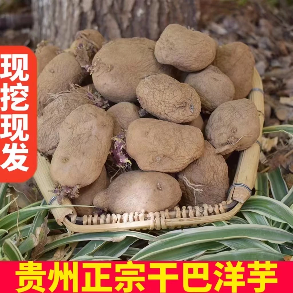 贵州干巴洋芋干巴土豆去往年皱皮黄心米拉洋芋马铃薯带芽土豆威宁