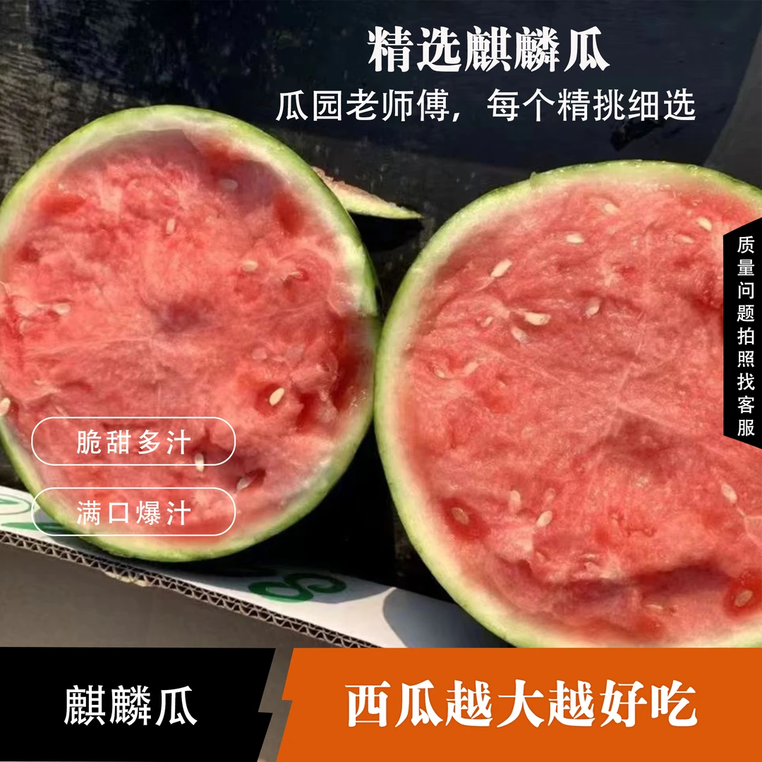 精选 无籽麒麟瓜，脆甜多汁满口爆汁5-8斤/个以上西瓜自然清甜成熟