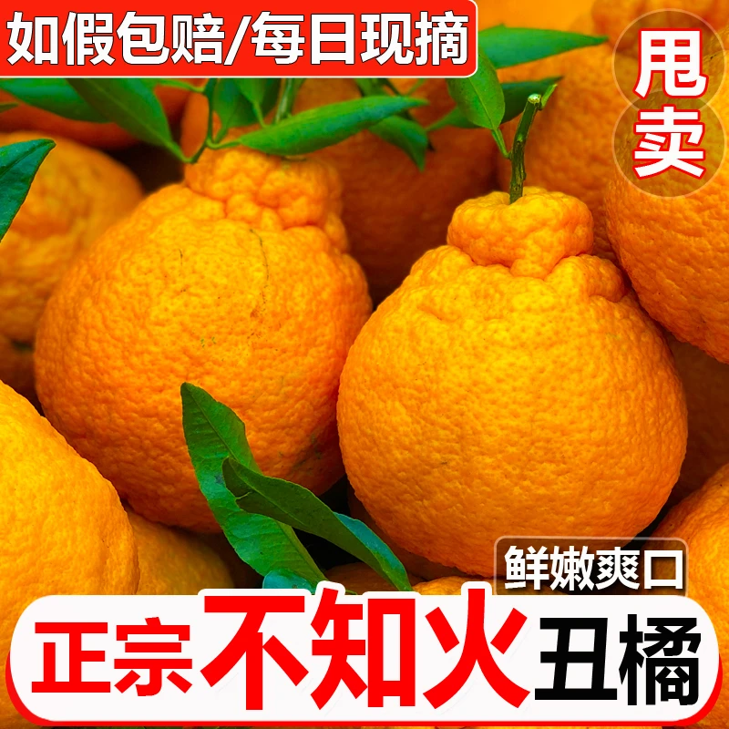 正宗四川丑橘不知火优质桔子当季新鲜水果丑柑4.5-8斤大果