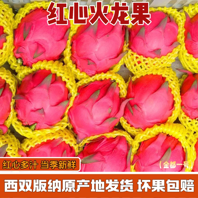 【带箱5斤】D金都一号云南火龙果红心多汁单果300g+当季水果甜可口