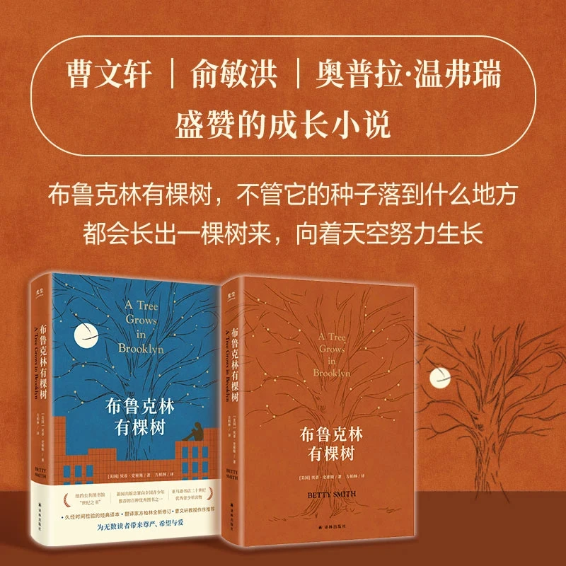 布鲁克林有棵树 贝蒂·史密斯经典外国文学小说