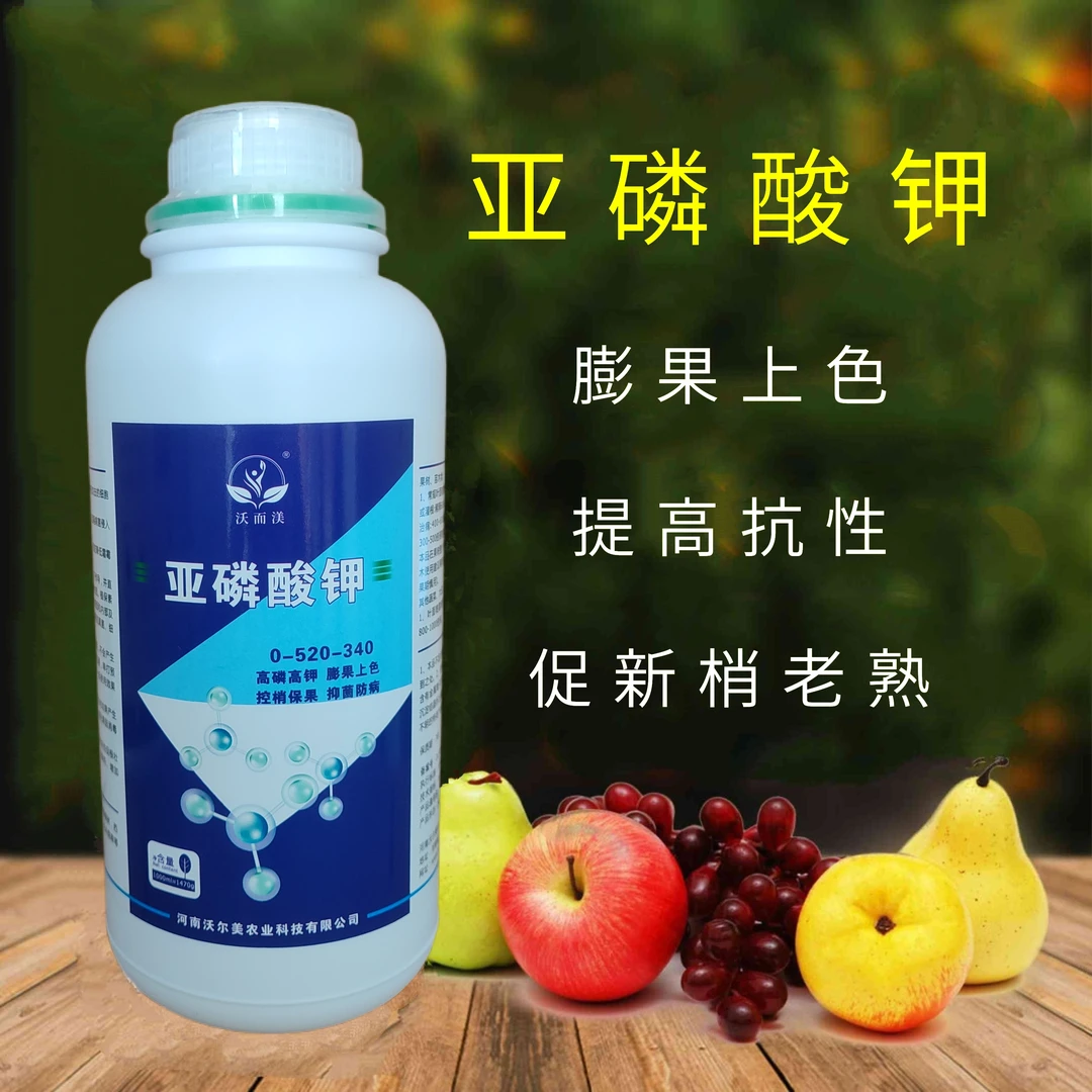 亚磷酸钾控梢抑菌膨果上色