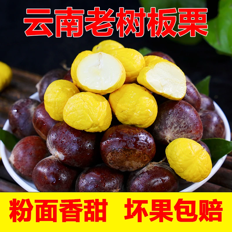 云南新鲜老树板栗2024年头茬栗子新鲜下树板栗粉面香甜去刺球