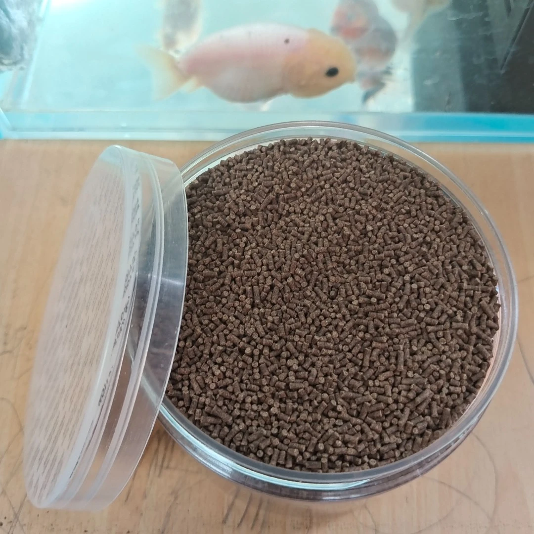 黑妞水族兰寿福寿金鱼高蛋白颗粒饲料200g适用于成鱼以及幼鱼