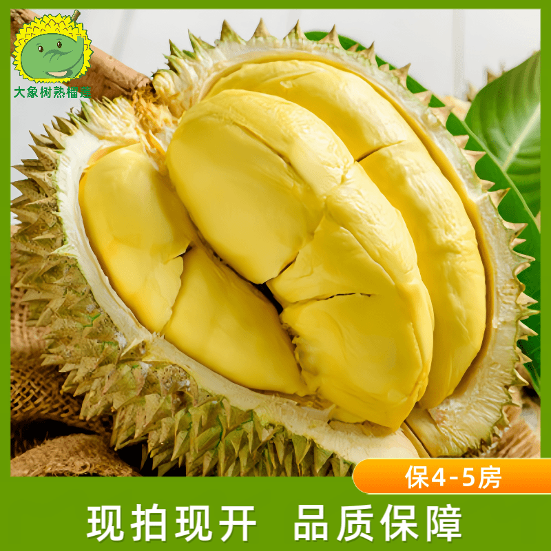 【龙岗2】树熟金枕榴莲A果【一果一拍】深圳同城小时达