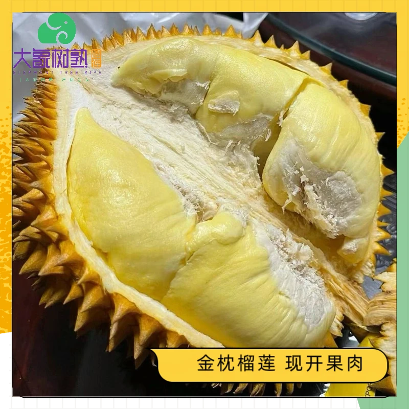 【东门】纯果肉（1.8斤） 金枕榴莲新鲜现开 深圳小时达【大象树熟榴莲】