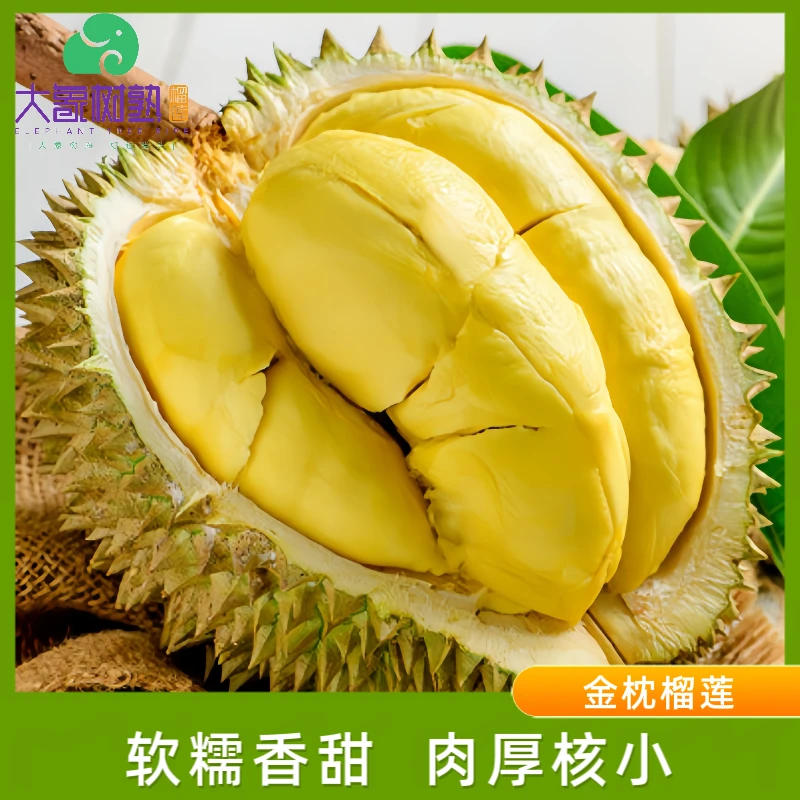 【福田】一果一拍1 A级金枕榴莲 现拍现开 深圳小时达【大象树熟榴莲】榴莲同城配